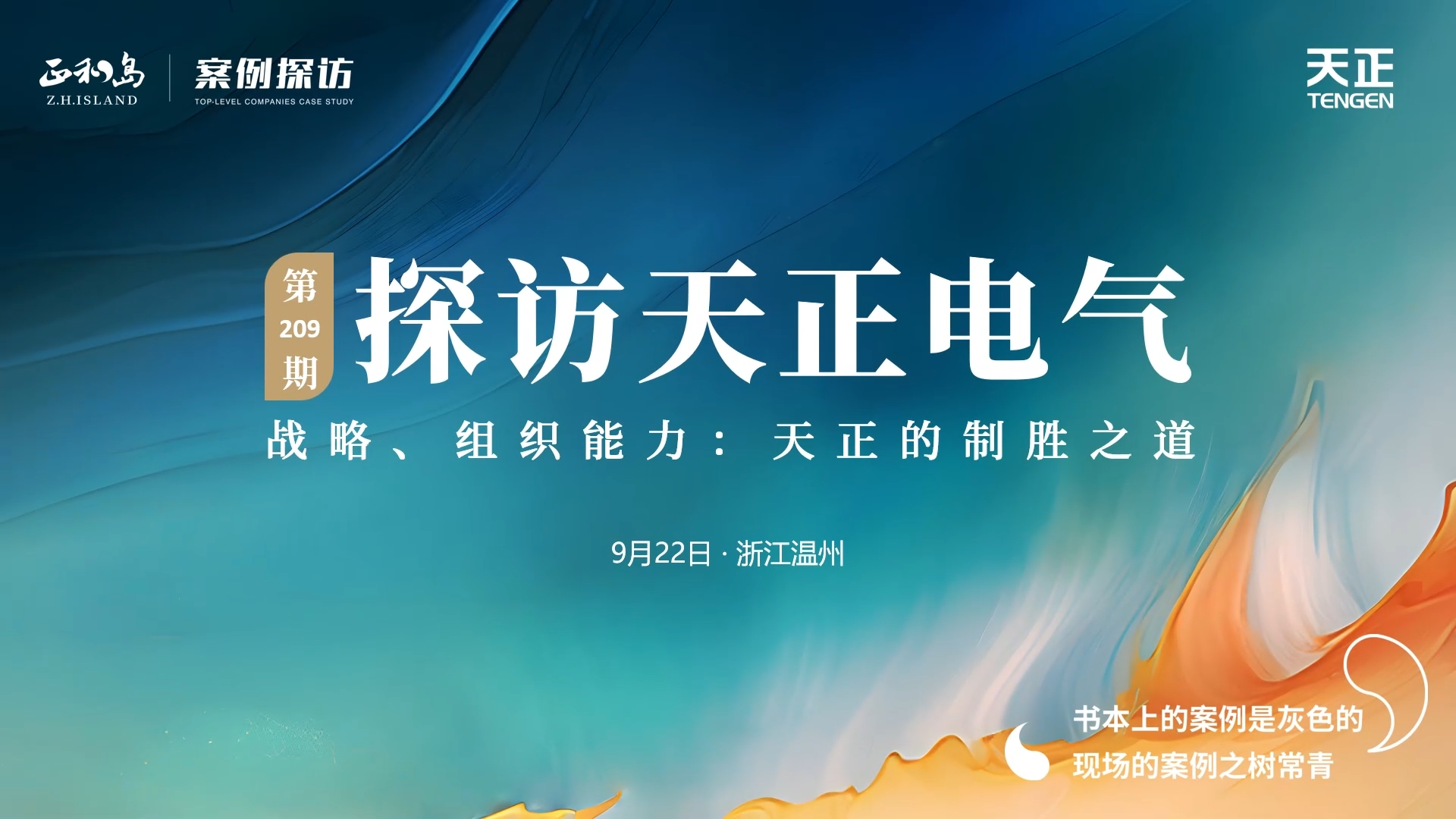 正和岛走进麻花豆传剧媒国产剧在线观看完整，探访制胜之道